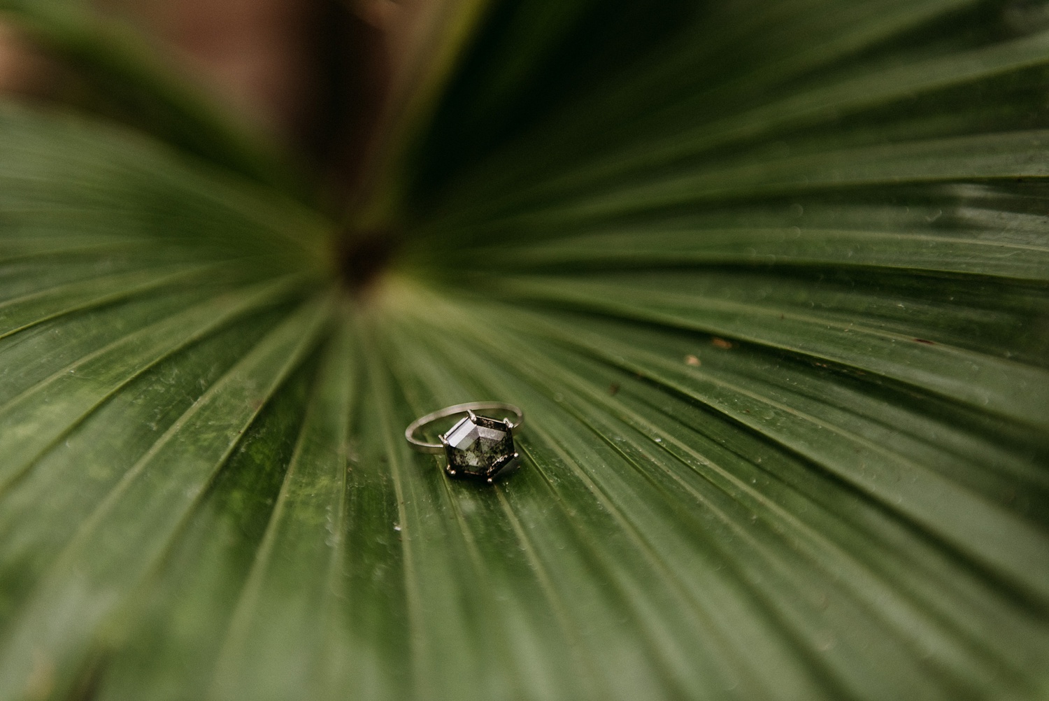 greenhouse wedding ring photo